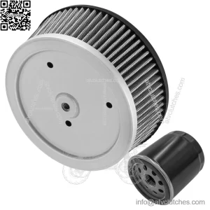 Air & Oil Filter For Harley Davidson Fat Boy FLSTFI 2005 29442-99E 63796-77A