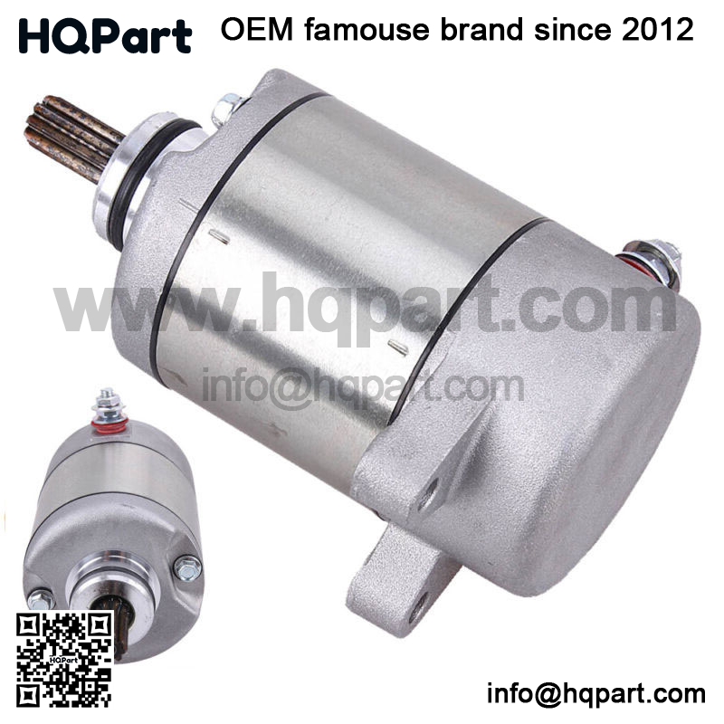 qdmd.12083 qdmd.12083