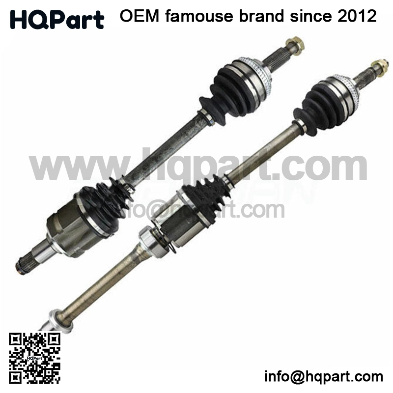 z.18206(2) z.18206(2)